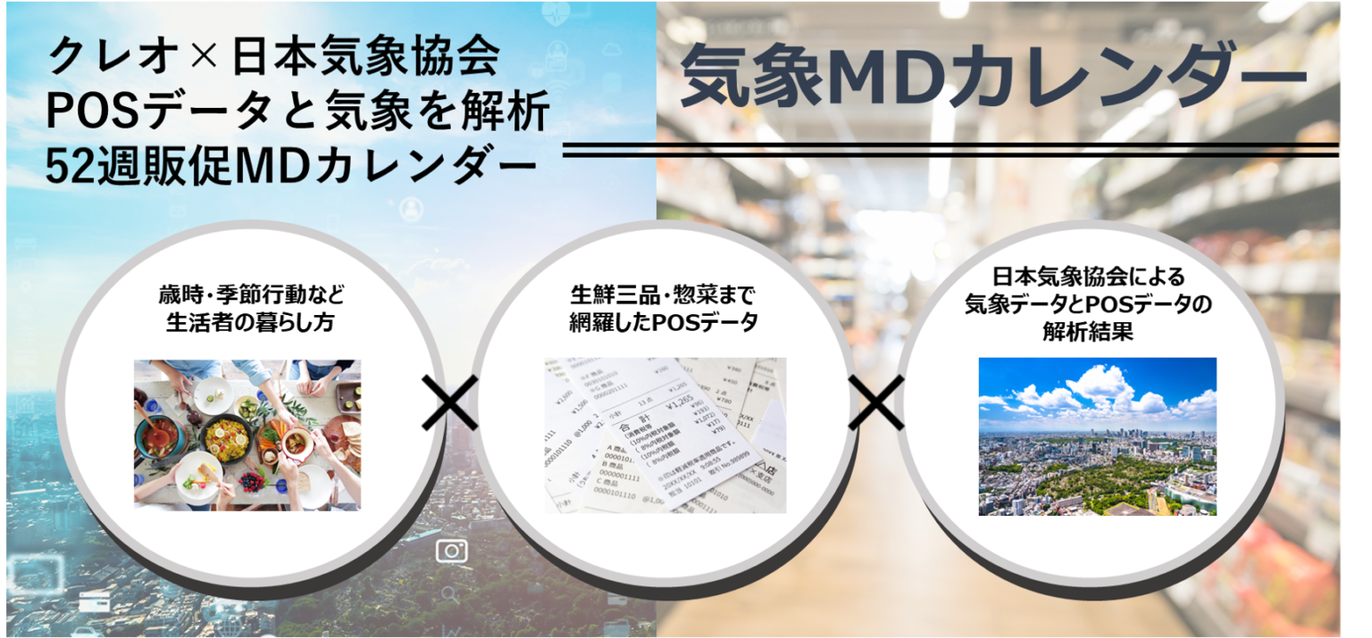 苏染染追夫记 电视剧